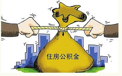 凤眼.JPG