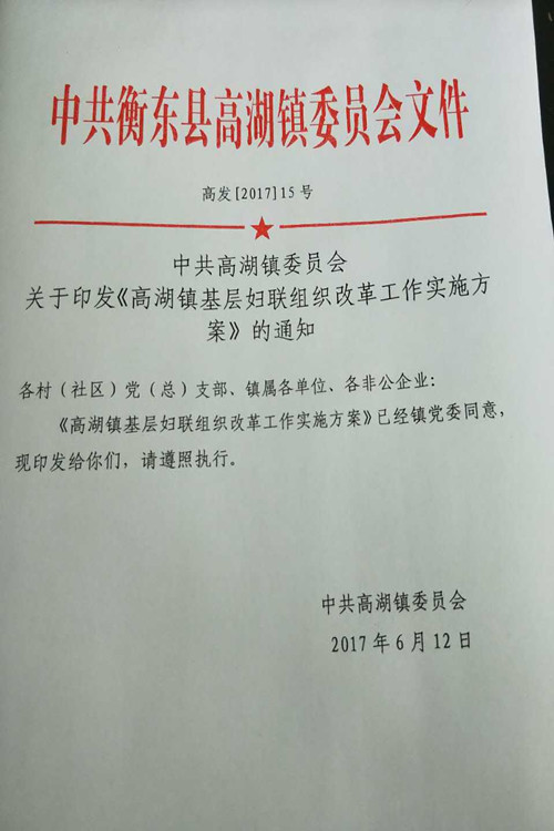 妇联换届文件.jpg