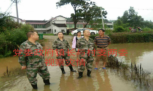 草市镇村视察灾情.jpg