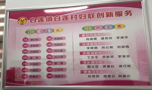 白莲村妇联创新服务.webp_副本.jpg