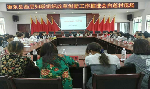 推进会白莲村现场_副本.jpg