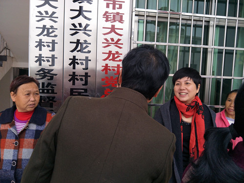 大兴龙村与妇联执委交谈_副本.jpg