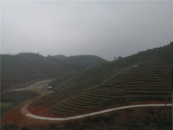 图片3耒阳市百果花园生态农业基地.png