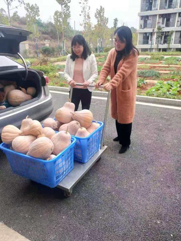 微信图片_202011231707008.jpg