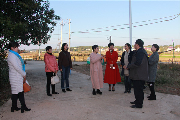 3 实地查看荆田村工艺伞厂房筹建地址.jpg