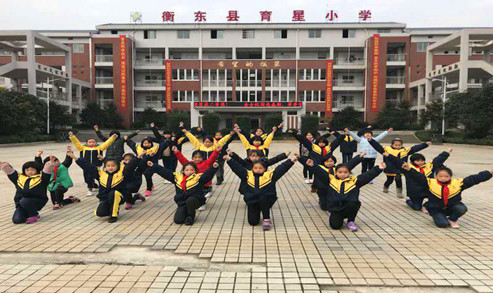 衡东育星小学学校简介图片