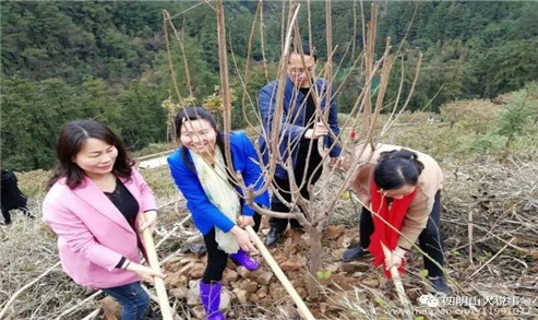 高瑛植树.jpg