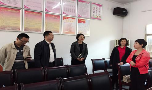 周红玲主席查看大浦镇区域化党建带妇建工作_副本.jpg