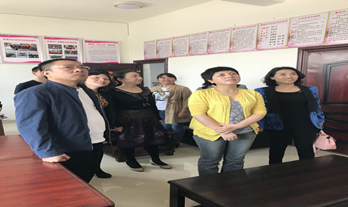 周红玲主席现场查看灶市街道区域化党建带妇建工作_副本.jpg