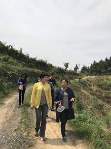 周红玲主席了解公司发展情况_副本.jpg