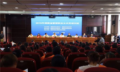 微信图片_20191011172955_副本.jpg