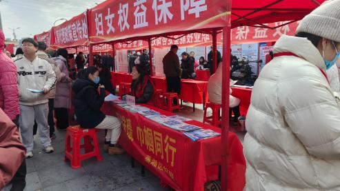 彭丽媛会见印度尼西亚总统夫人伊莉亚娜